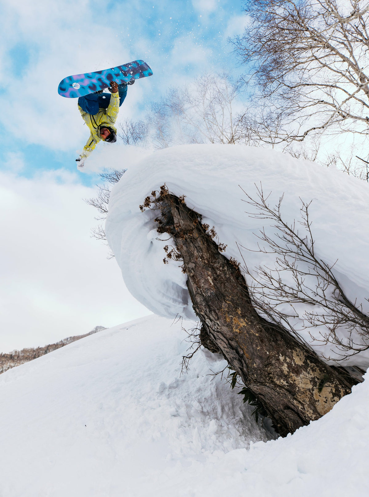 Burton Family Tree Sketch Artist Camber Snowboard 2026 - Burton
