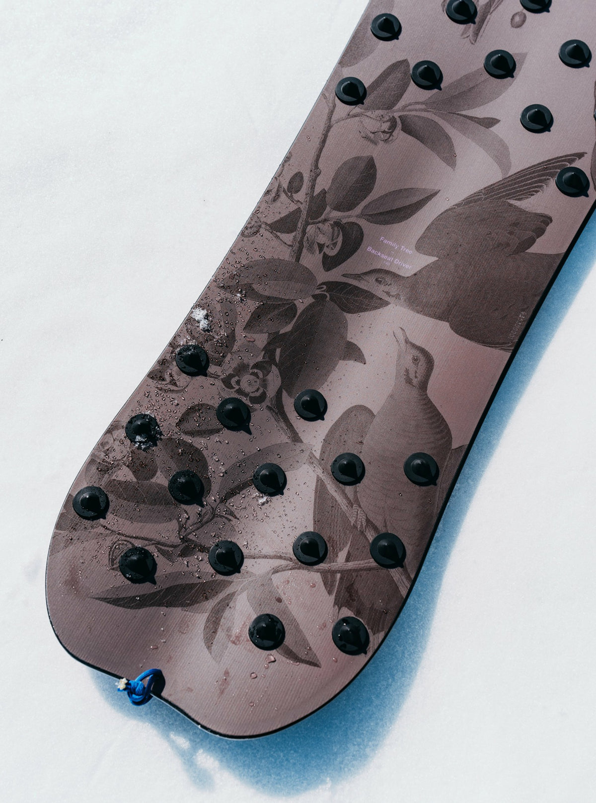 Burton Family Tree Backseat Driver Pow Surfing Snowboard 2027 - Burton
