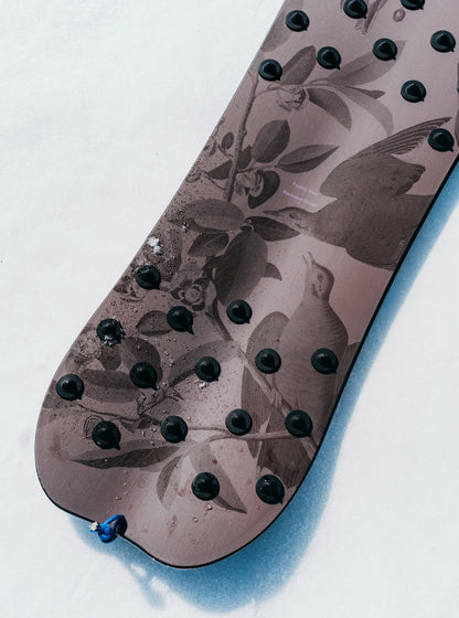 Burton Family Tree Backseat Driver Pow Surfing Snowboard 2027 - Burton