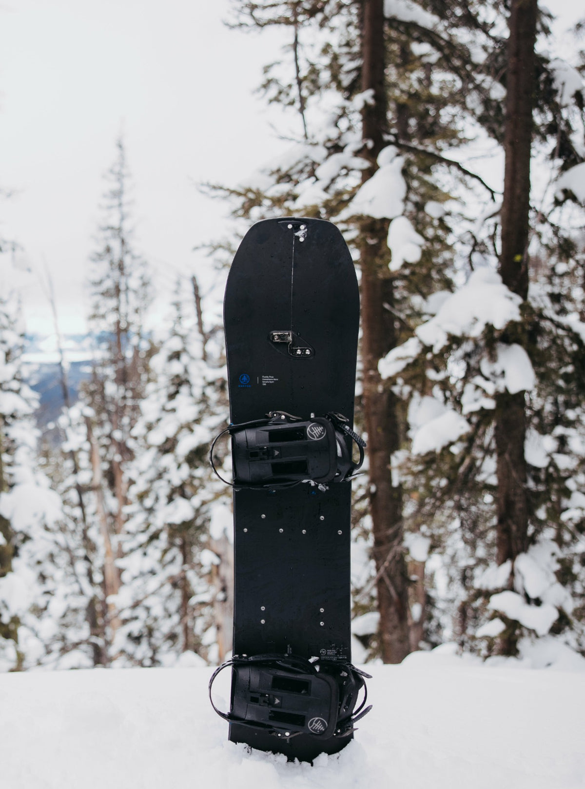 Kids' Family Tree Hometown Hero Smalls Splitboard 2027 - Burton