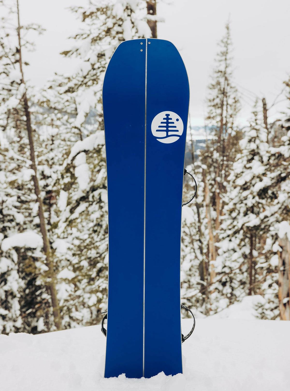 Kids' Family Tree Hometown Hero Smalls Splitboard 2027 - Burton