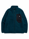 Atlantic Teal