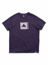 Nightshade Purple