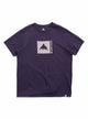 Nightshade Purple