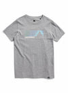Gray Heather