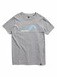 Gray Heather