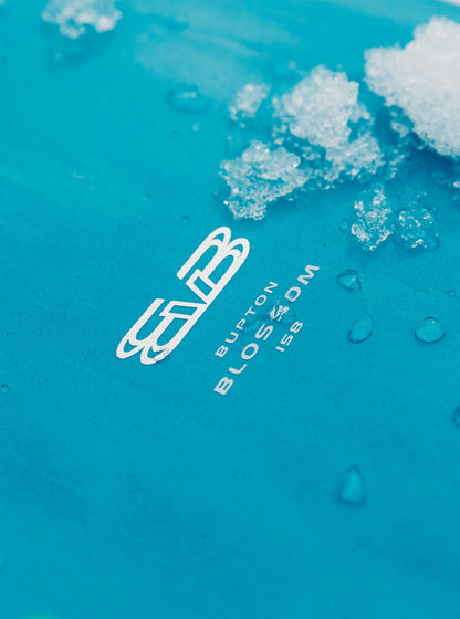 Burton Blossom Camber Snowboard 2026 - Burton