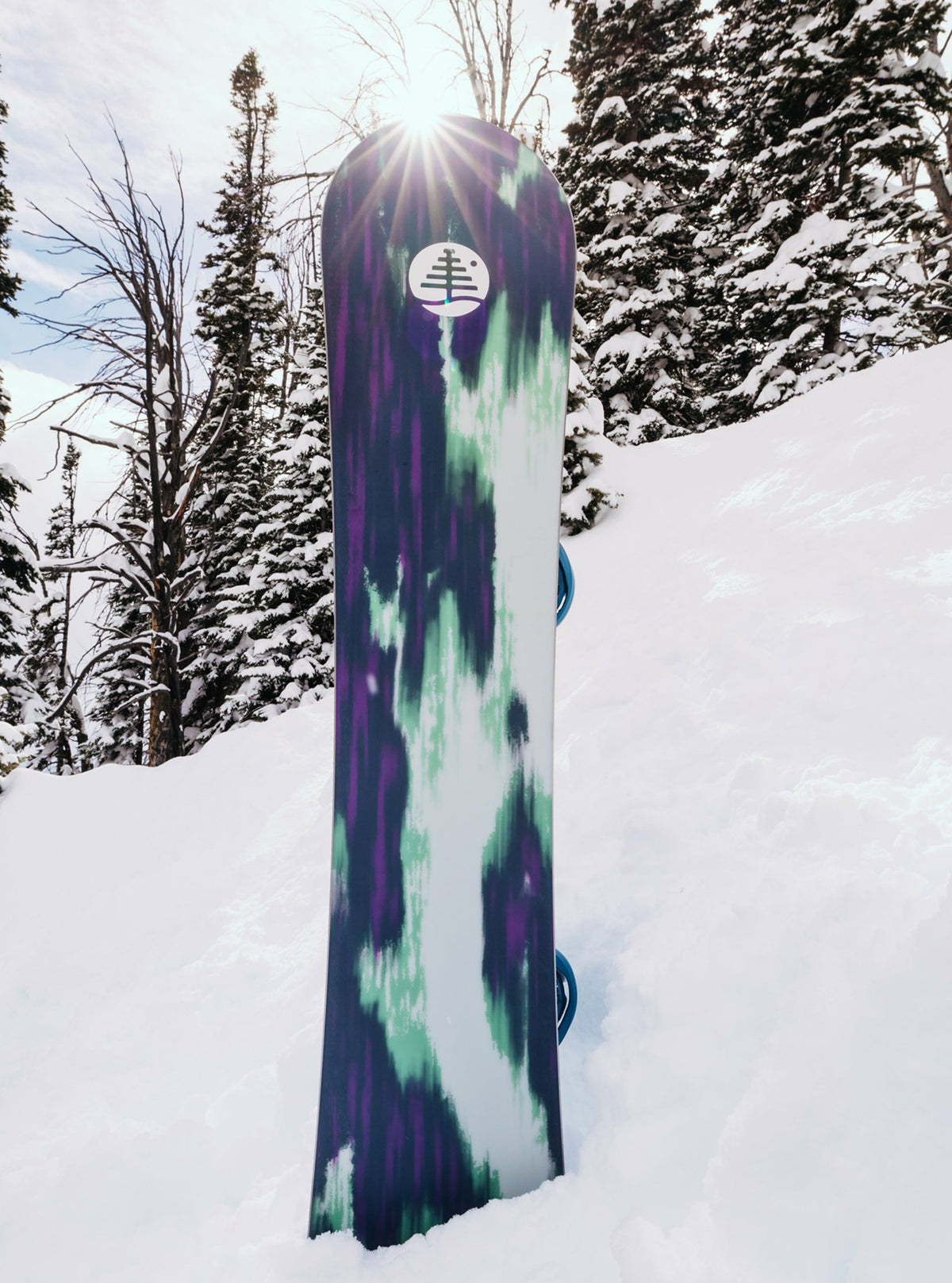 Burton Family Tree Alekesam Camber Snowboard 2026 - Burton