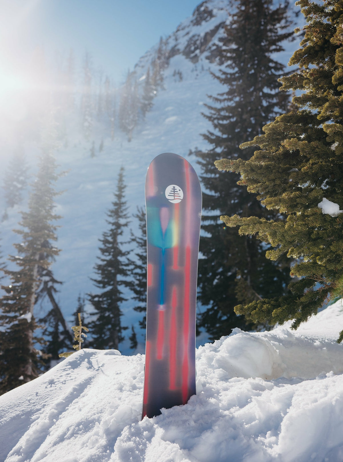 Burton Family Tree Gril Master Camber Snowboard 2026 - Burton