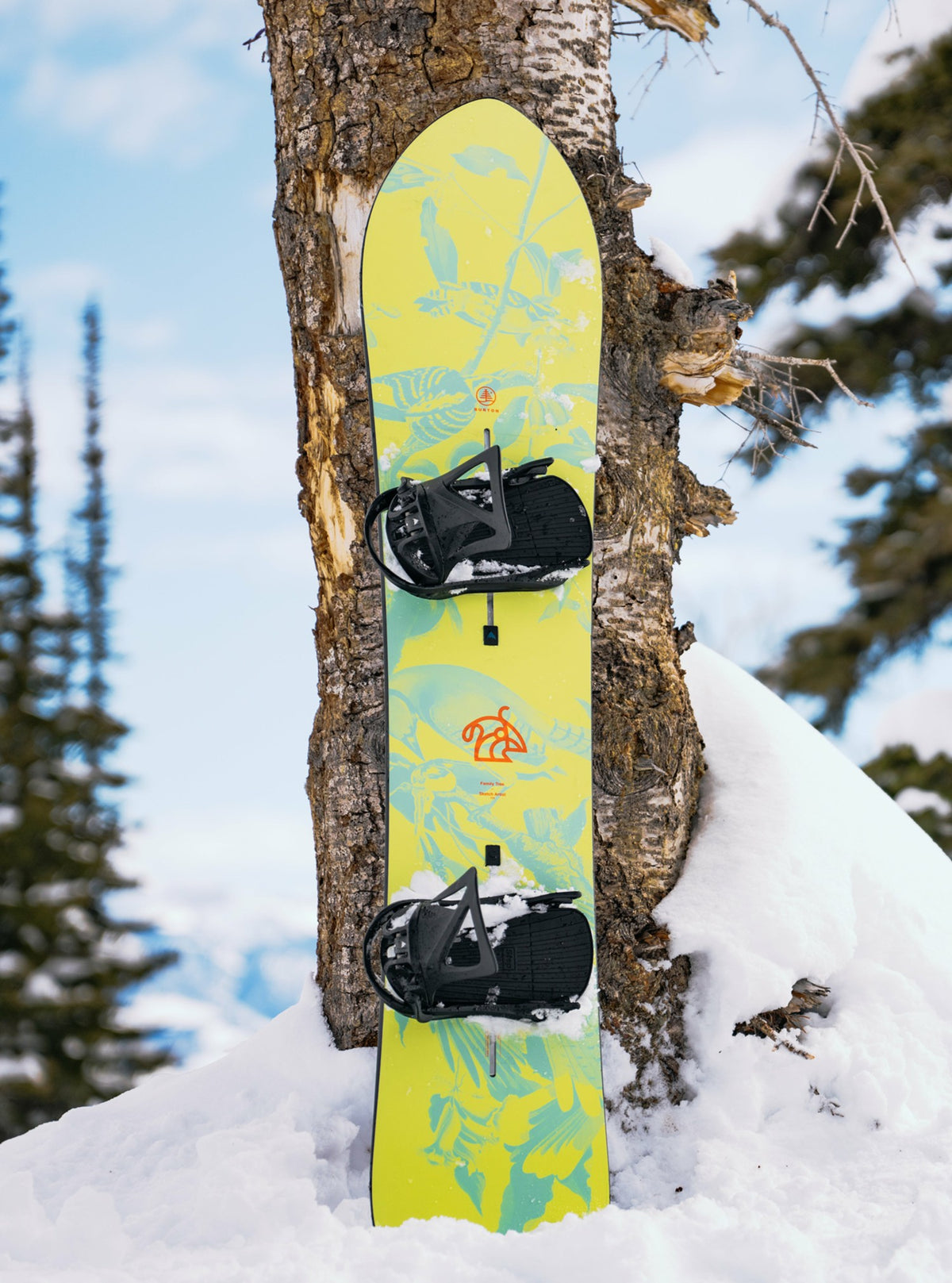 Burton Family Tree Sketch Artist Camber Snowboard 2026 - Burton